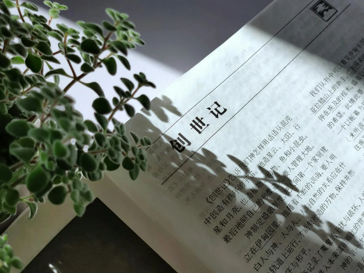 制造业生产线上的设备特写与企业宣传片拍摄现场